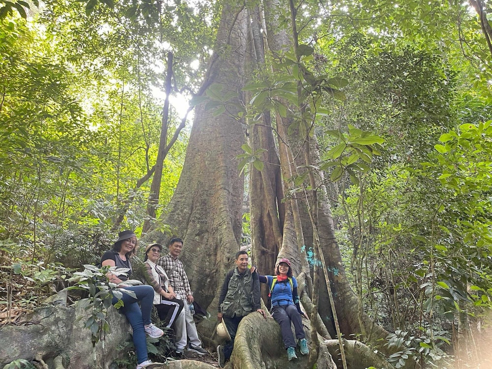Trekking through Cat Ba National Park takes you into dense jungle trails filled with rare wildlife and scenic viewpoints